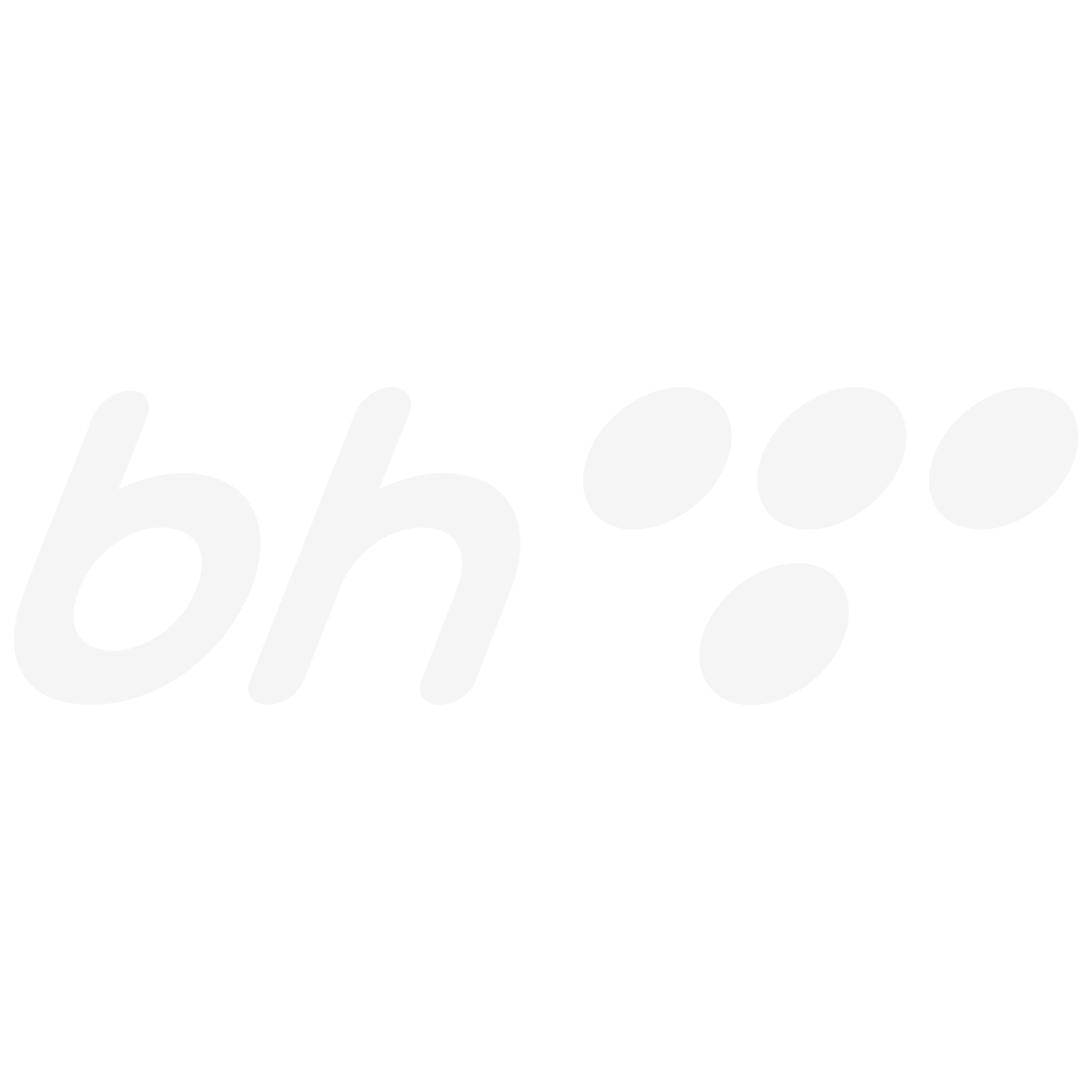BH Telecom2